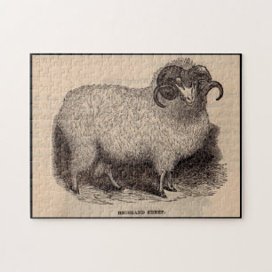Puzzle Imprimerie du 19e siècle moutons des Highlands