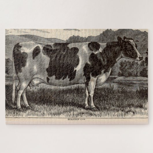 Puzzle Imprimerie du 19e siècle Vache Holstein (Horizontal)
