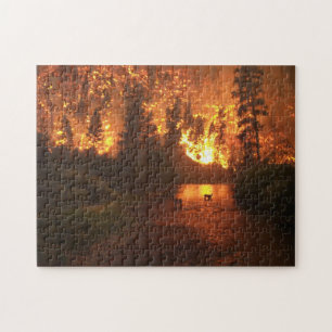 Puzzle Incendie de forêt - cerf commun