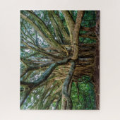 Puzzle Incroyable Banyan Tree (Vertical)