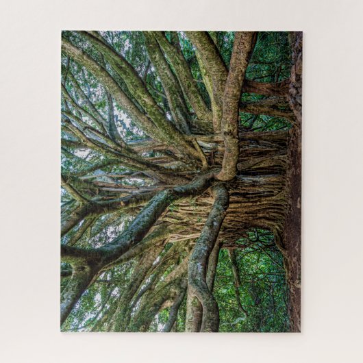 Puzzle Incroyable Banyan Tree (Vertical)