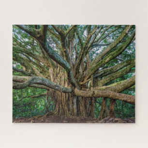Puzzle Incroyable Banyan Tree