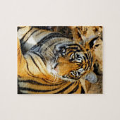 Puzzle Inde, Sawai Madhopur, Ranthambore National (Horizontal)