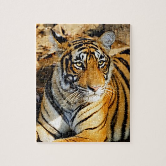 Puzzle Inde, Sawai Madhopur, Ranthambore National (Vertical)