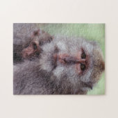 Puzzle Indonésie, Bali, Ubud, Macaque à longue queue (Horizontal)