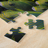 Puzzle Indonésie. Banc de poissons (Côté)