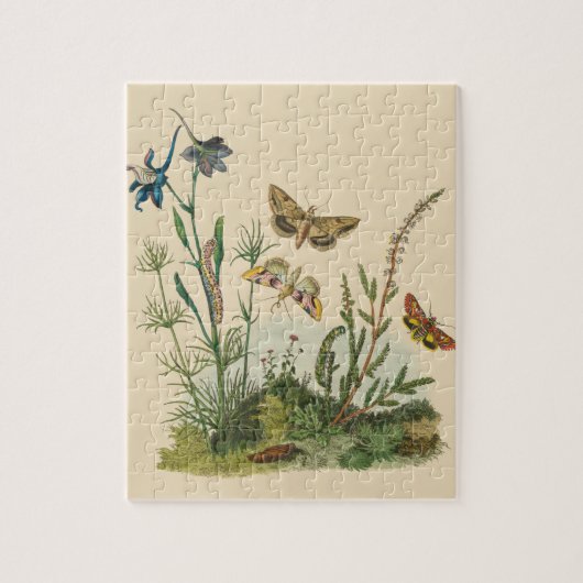 Puzzle Insectes de jardin vintage, papillons, chenilles (Vertical)