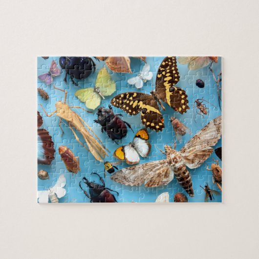 Puzzle Insectes, papillons et mites (Horizontal)