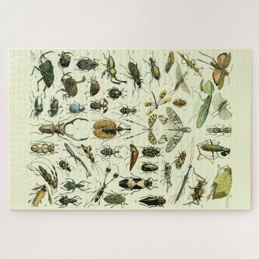 Puzzle Insectes vintages (Horizontal)