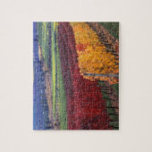 Puzzle Intense couleur rouge et jaune sur Gehring (Vertical)