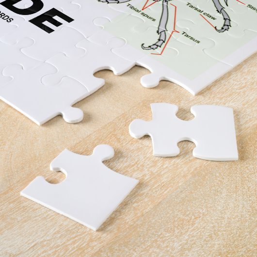 Puzzle Intérieur d'entomologiste (anatomie de fourmi de (Côté)