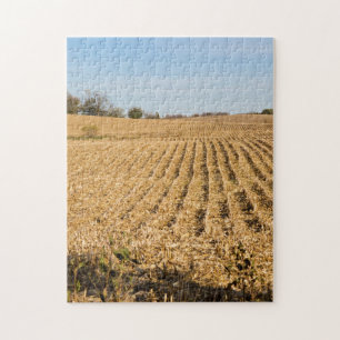 Puzzle Iowa Cornfield Panorama