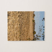 Puzzle Iowa Cornfield Panorama Photo (Horizontal)