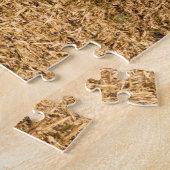 Puzzle Iowa Cornfield Panorama Photo (Côté)