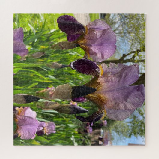 Puzzle Iris à poils (Horizontal)