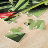 Puzzle Iris à Tulip Field, Woodburn, Oregon (Côté)