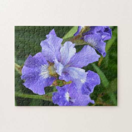 Puzzle Iris pourpre (Horizontal)
