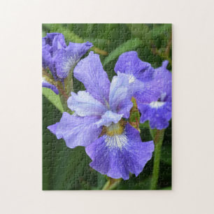 Puzzle Iris pourpre