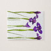 Puzzle Iris pourpres d'isolement sur un arrière - plan (Horizontal)
