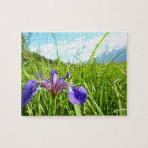 Puzzle Iris sauvage et paysage d'Alaska