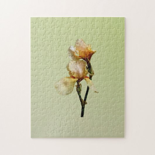Puzzle Irises colorées (Vertical)