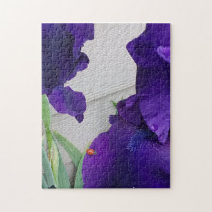 Puzzle Irises pourpres et Ladybug