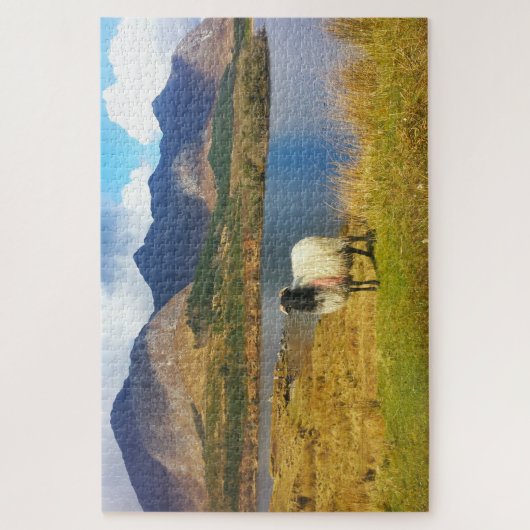 Puzzle Irish Wooly Sheep Galway Irlande. (Vertical)