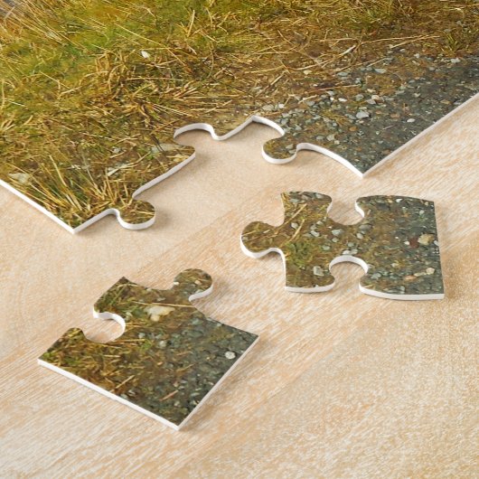 Puzzle Irish Wooly Sheep Galway Irlande. (Côté)