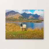 Puzzle Irish Wooly Sheep Galway Irlande. (Horizontal)