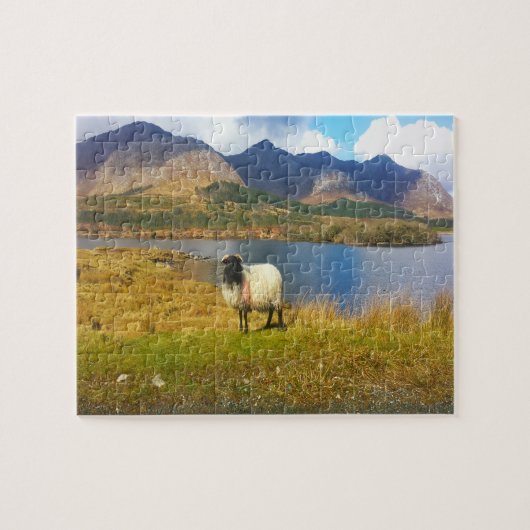 Puzzle Irish Wooly Sheep Galway Irlande. (Horizontal)