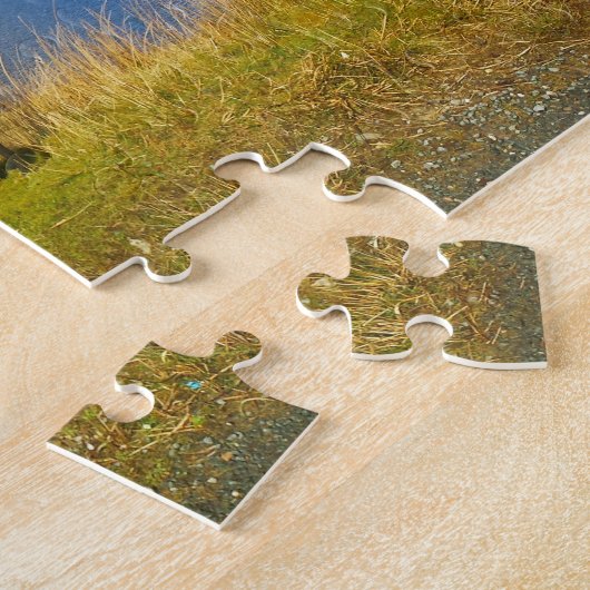 Puzzle Irish Wooly Sheep Galway Irlande. (Côté)
