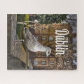 Puzzle Irlande de Dublin Bird sur mur de briques (Horizontal)