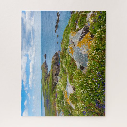 Puzzle Irlande, Saltee Islands, (Vertical)