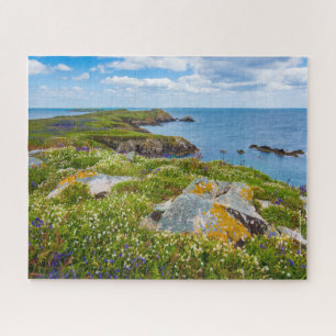 Puzzle Irlande, Saltee Islands,