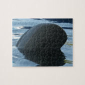 Puzzle Irrawaddy Dolphin Peek-A-Boo (Horizontal)