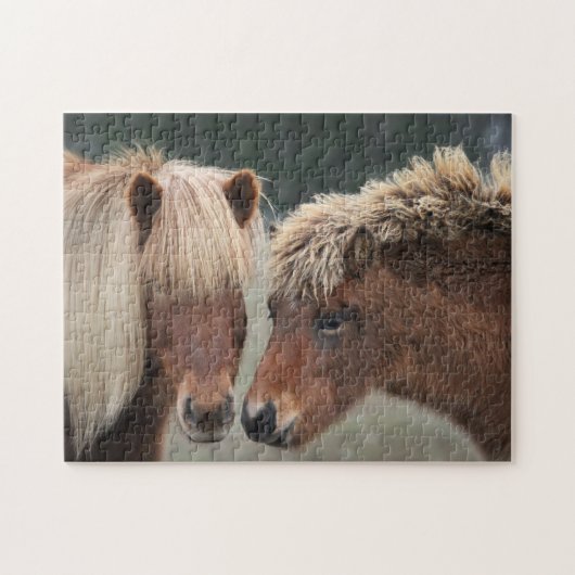 Puzzle islandais de cheval de jument et de poulain (Horizontal)