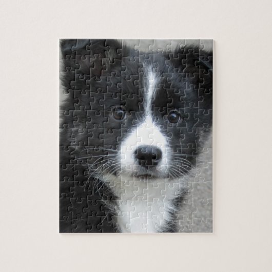 Puzzle Islandhund (Vertical)