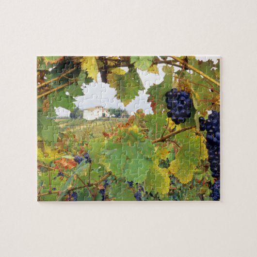 Puzzle Italie, Toscane Ferme vue par (Horizontal)