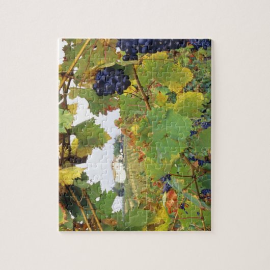 Puzzle Italie, Toscane Ferme vue par (Vertical)