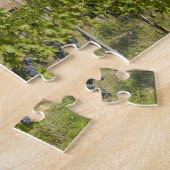 Puzzle Italie, Toscane, Montepulciano. Raisins de vin prê (Côté)