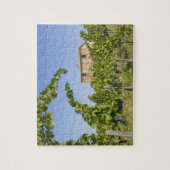 Puzzle Italie, Toscane, Montepulciano. Raisins de vin prê (Vertical)