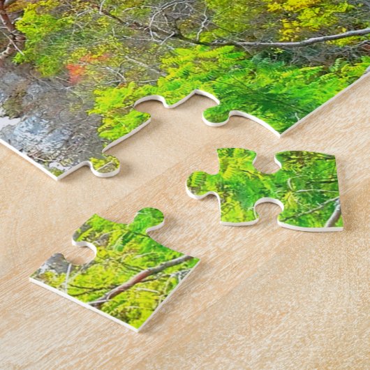 PUZZLE ITHACA NEW YORK GORGE (Côté)