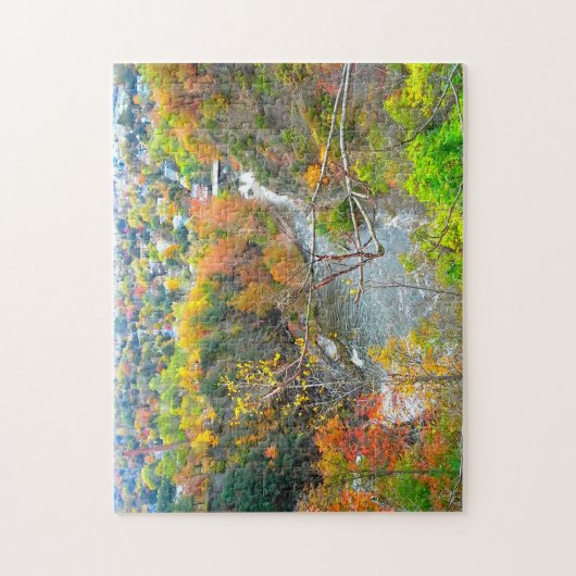PUZZLE ITHACA NEW YORK GORGE (Vertical)