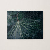Puzzle Ivy Leaf Nature Photo (Horizontal)