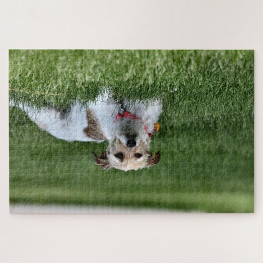 Puzzle Jack (Horizontal)