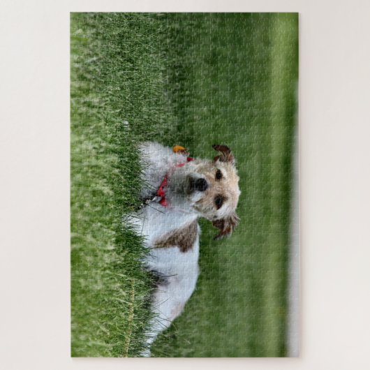 Puzzle Jack (Vertical)