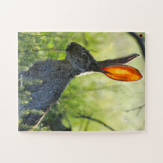 Puzzle Jack Rabbit (Horizontal)