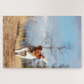 Puzzle Jack Russel sur la course… (Horizontal)
