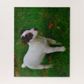 Puzzle Jack Russell Chien. (Vertical)