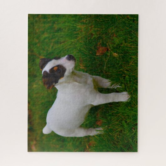 Puzzle Jack Russell Chien. (Vertical)
